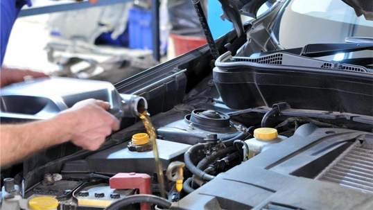 Mitsubishi Servis Cena